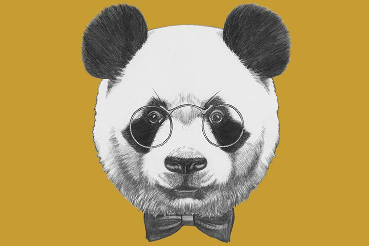 Panda, une constante du nouvel algorithme Google ?